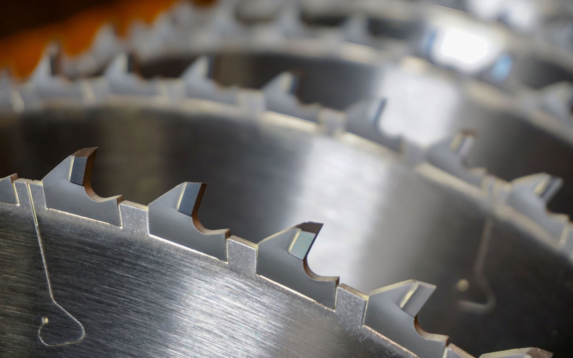 Leitz Kreissägeblattwelle mit spanraumgeschütztem Kreissägeblatt