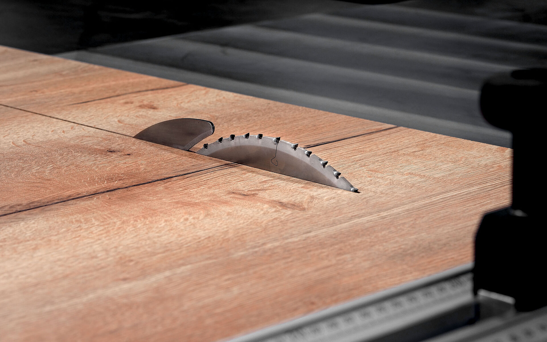 Leitz Kreissägeblatt WhisperCut auf Formatkreissäge