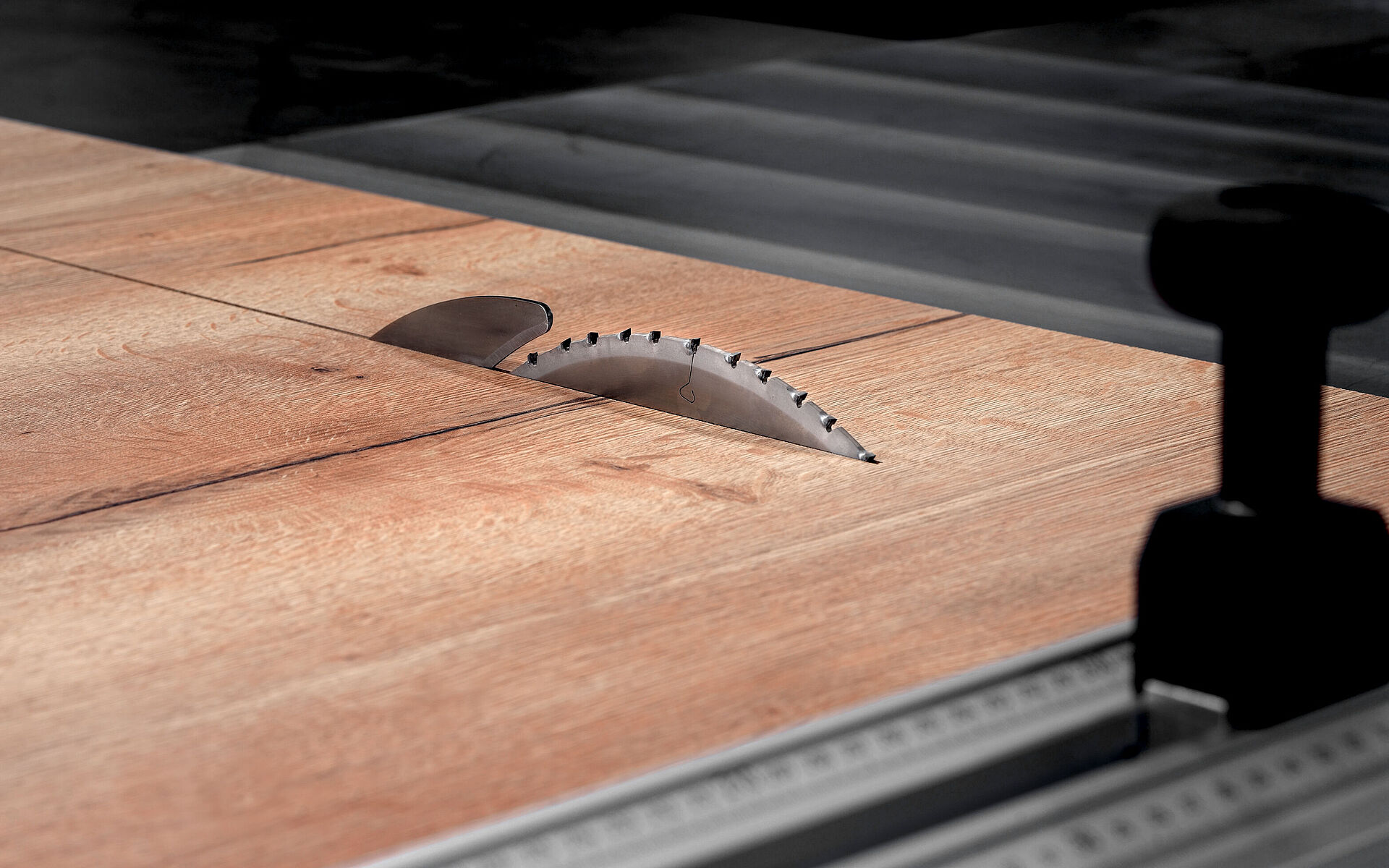 Leitz Kreissägeblatt WhisperCut auf Formatkreissäge