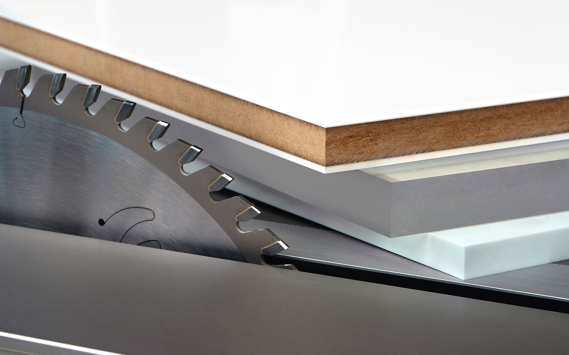 Leitz Kreissägeblatt BrillianceCut auf Formatkreissäge