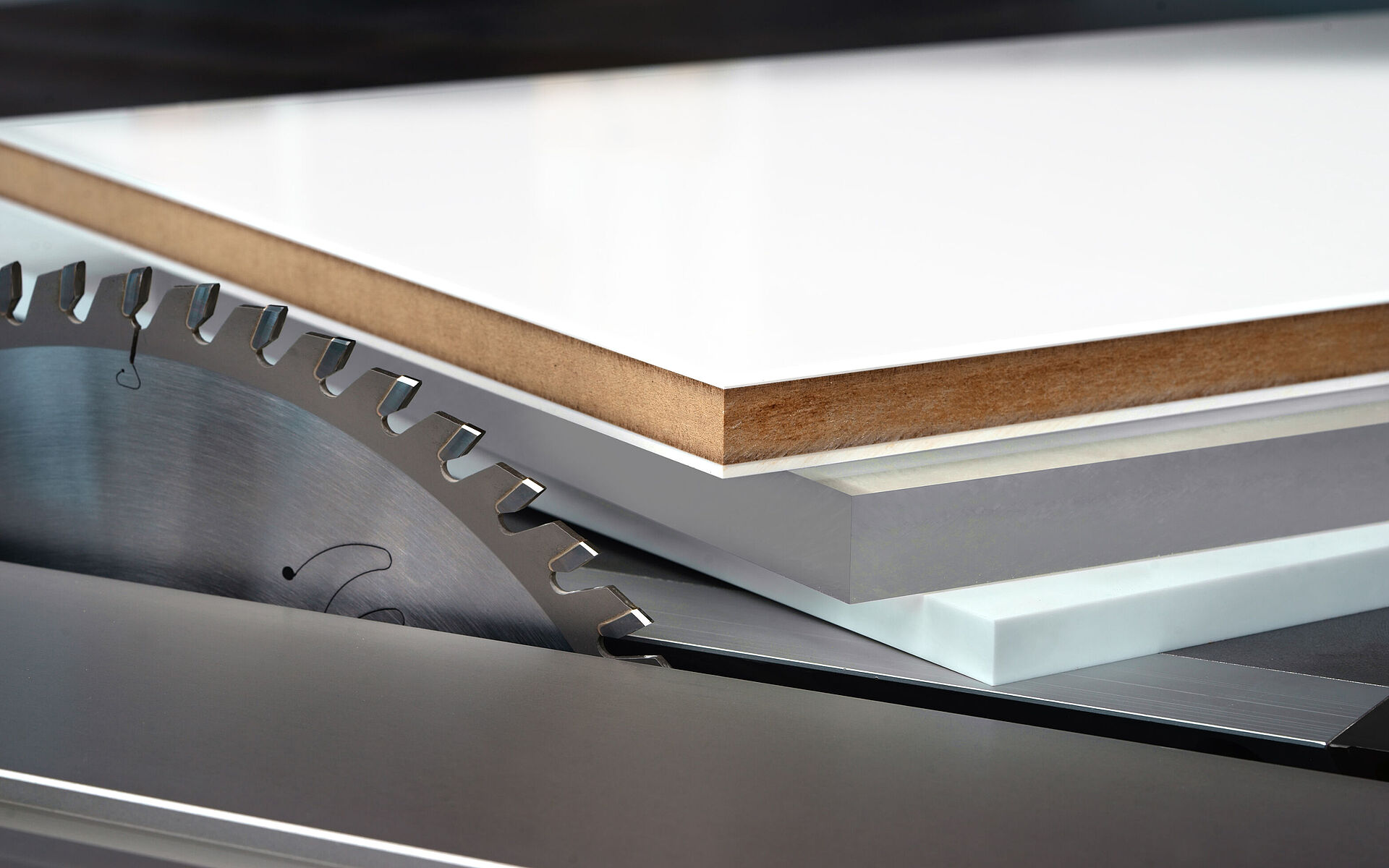 Leitz Kreissägeblatt BrillianceCut auf Formatkreissäge