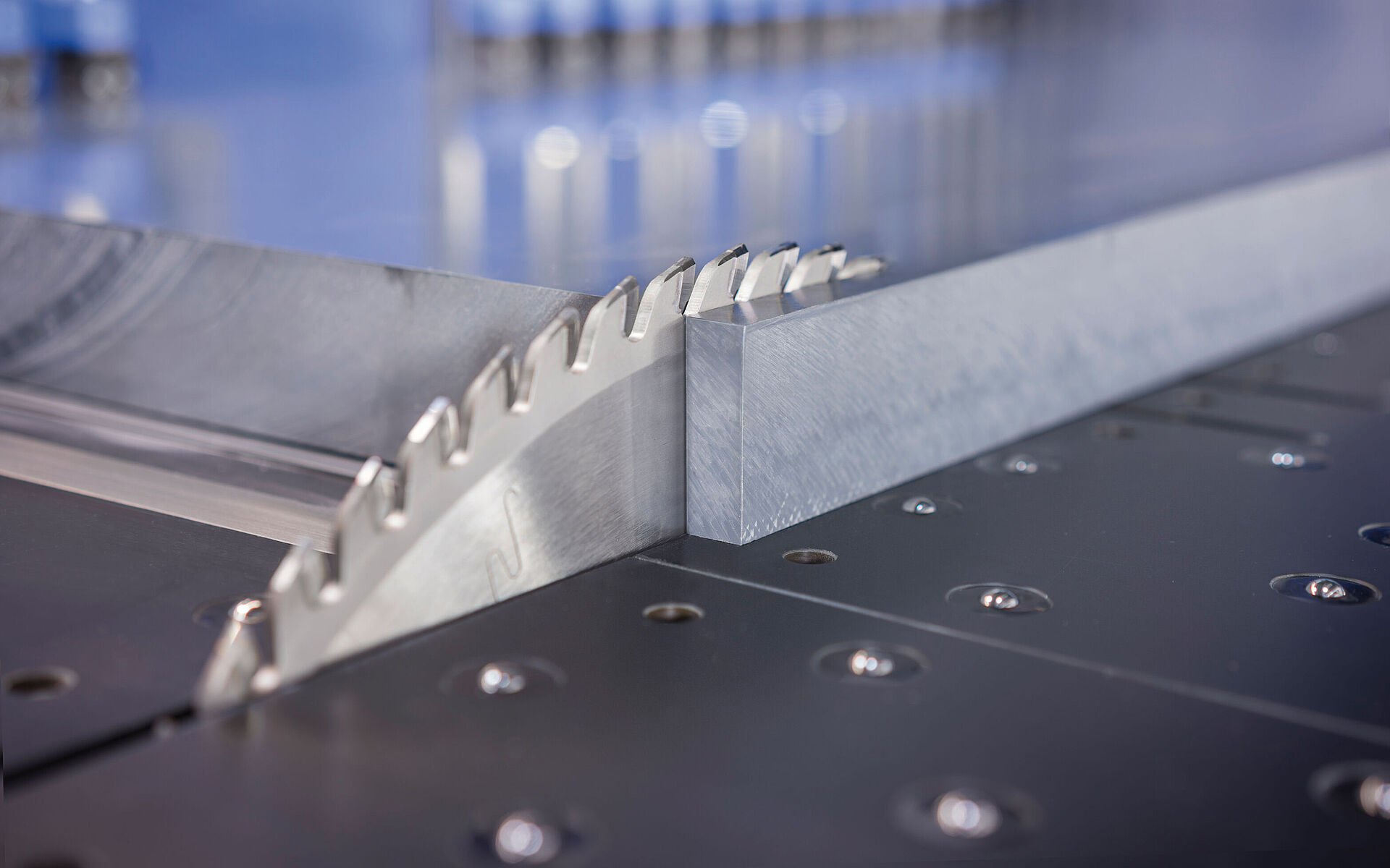 Leitz Kreissägeblatt auf Plattenaufteilsäge